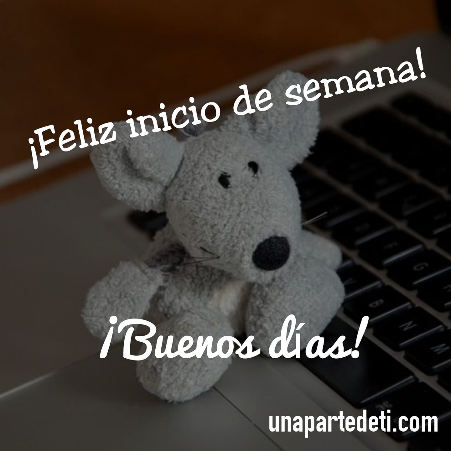 Â¡Feliz inicio de semana!... Â¡Buenos dÃ­as!